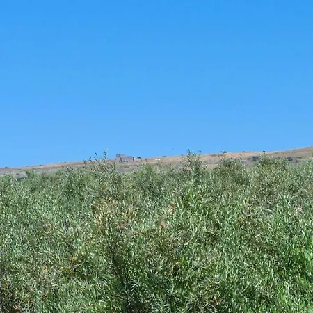 Casa La Limosna Setenil De Bodegas By Ruralidays Сasa de vacaciones Setenil De Las Bodegas